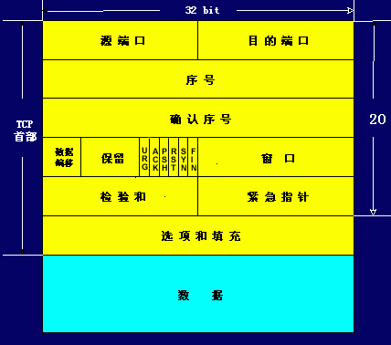 tcp报文毕业论文