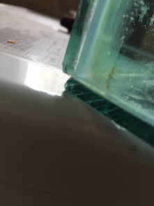 鱼缸玻璃破裂修复的小妙招(鱼缸玻璃裂缝用什么东西可以修补)