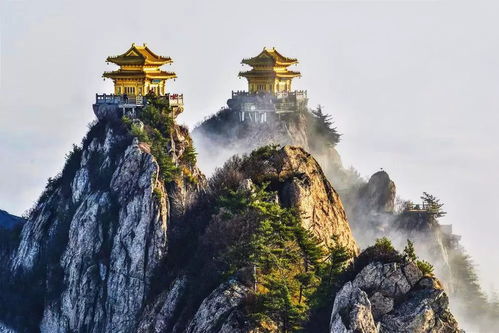 老君山有必要买保险吗,计划去老君山风景区游玩,需要做哪些准备工作?