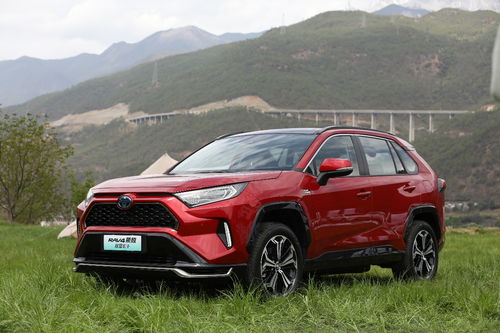 新款RAV4荣放双擎上市 24.88万 29.68万元