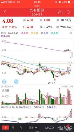 600462 九有股份股吧,深入解析600462九有股份近期动态及投资风险
