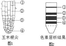 下列对免疫概念的叙述正确的是（　　）A．免疫是生来就有的B．人体对任何疾病都有一定的免疫能力C．免疫