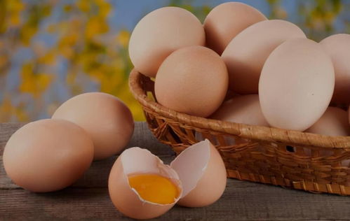 每天吃鸡蛋的人,和不吃鸡蛋的人有什么不一样 建议了解