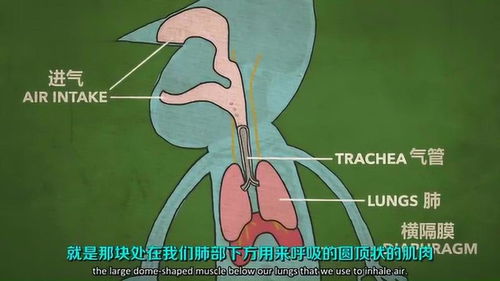 打嗝冷知识科普(打嗝见于什么病)