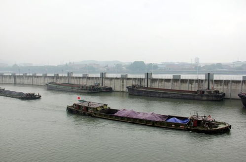 富春江船闸恢复通航 400余艘待闸船舶预计三天内可全部过闸