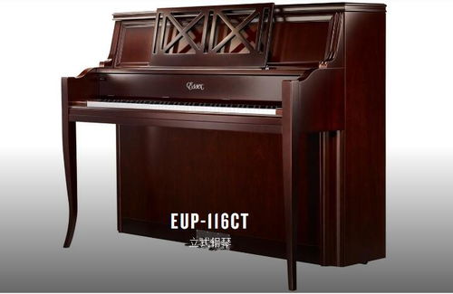 学钢琴一定要买钢琴吗 能不能用电子琴代替练习 成都智音钢琴城