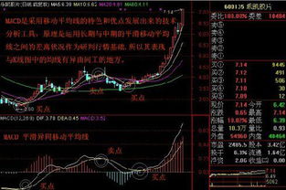 购买股票的人越多，股票的价格就会大涨是吗？