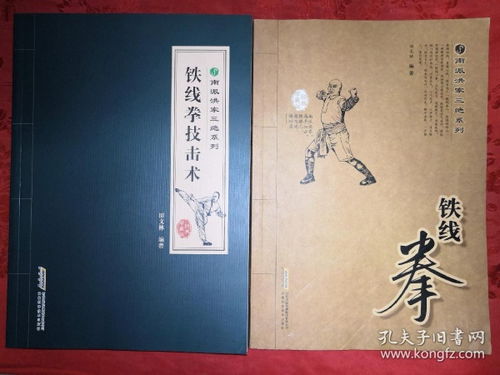 稀缺经典 铁线拳 铁线拳技击术 南派洪家三绝系列 全二册