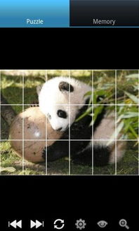 有趣的熊猫app下载 有趣的熊猫手机版下载 手机有趣的熊猫下载安装 