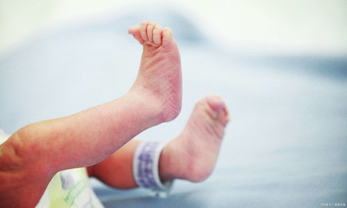 斯贝瑞奖 CBERI发布第一季度婴幼儿奶粉品牌经济指数榜,伊利第一