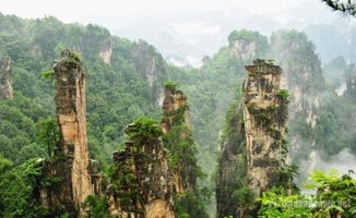 张家界哪个月份旅游最适合 这是最时候去旅游的时间