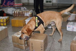 武汉海关首次在邮检中查获毒品 4嫌疑人落网 