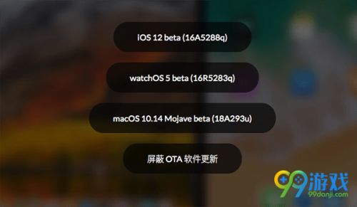 ios12beta怎么升级正式版