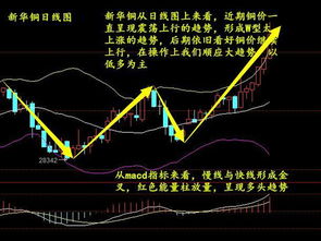 炒现货原油是不是比比炒股票容易啊？