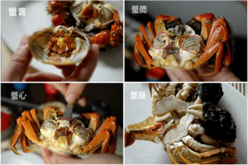 岭南妇科养生坊 秋分至,蟹膏肥,秋蟹肥美正当时,吃螃蟹,是对秋天最好的尊重 蟹肉 