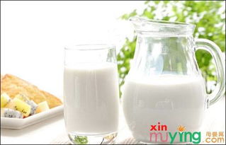 喝牛奶的好处和坏处 看营养专家的多年研究