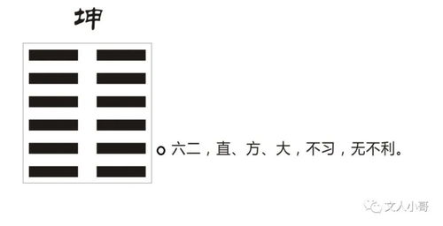 谁说学习易经经文只能学到做人道理,不能占卜 我们看占卜实例