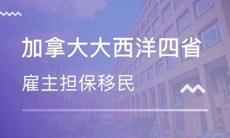 济南出国留学？办理出国留学的机构有哪些