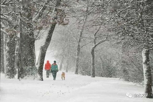 魏青锋 下雪的声音