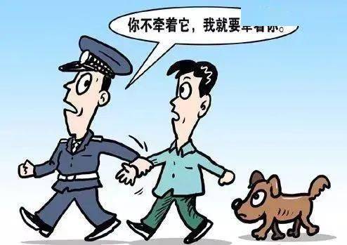 丽江养犬人注意了 出现这些情节将罚款