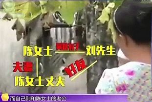 无缝隙 换妻 好兄弟双双婚内变心,对象还都是对方的妻子