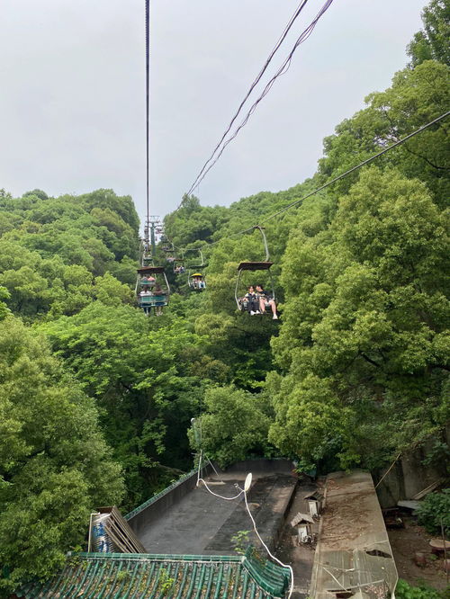 旅游方式分享 岳麓山的完美之行 