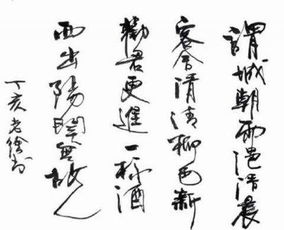 京城第一才女徐静蕾书法作品欣赏,听听书法家怎么点评 