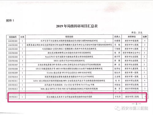 论文综述查重的最佳实践：你的学术成功的关键一步