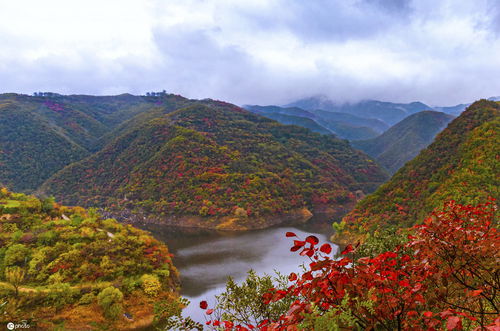 山西平陆县大河庙层林尽染 秋季风景美如画