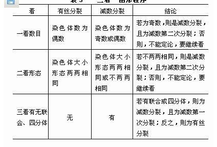 怎样区分有丝分裂和减数分裂 常常看图却还是有些分不清,因为有些时期它们的图很相似. 