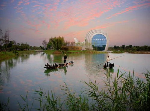 泗洪旅游 去洪泽湖湿地畅想 抵达诗和远方