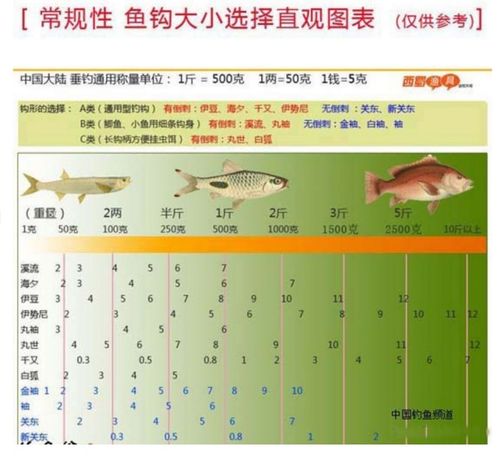 命中率最高的鱼钩是哪种 