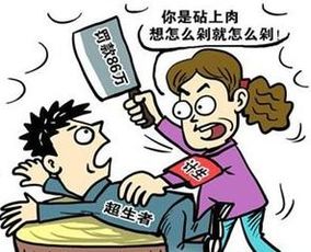 社会抚养费是什么意思