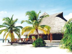马尔代夫可以串岛游玩有哪些必去景点（马尔代夫自由行游记）
