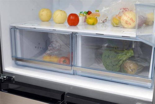 美的495升冰箱评测 猜猜丝瓜被冷藏24小时后还能食用吗