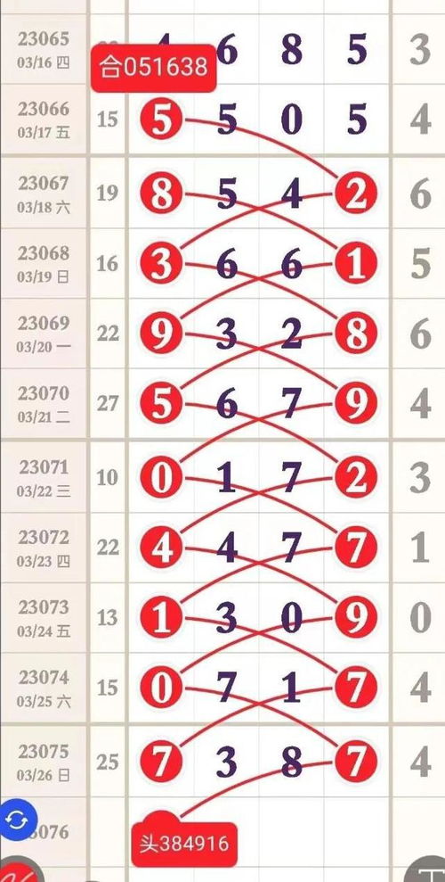 排列五最新230760期规律图之财运滚滚