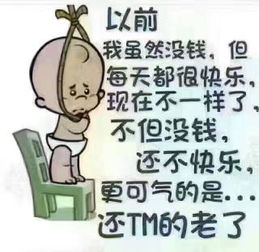 丿灬风雨集团丶刘先生