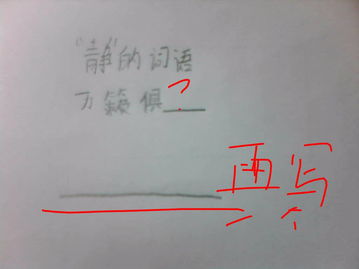 静谧的词语意思解释（静谧无声什么意思？）