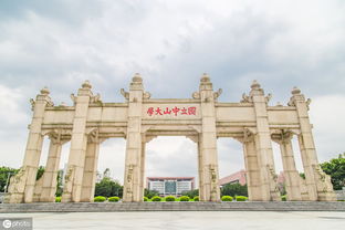 中山大学什么专业好,中山大学什么专业强(图1)