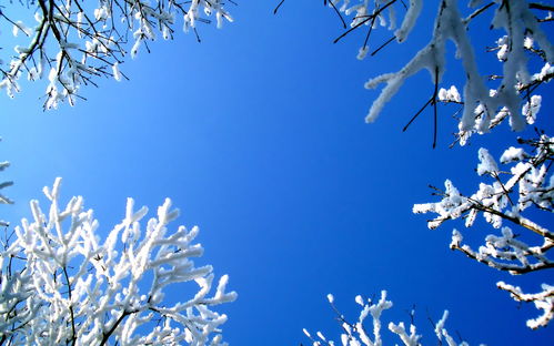 美丽雪景雪景图片美丽冬天雪景壁纸 米粒分享网 Mi6fx Com