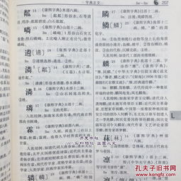 起名专用字典 权威命名用字参本 杨适存