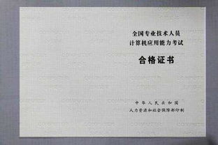 2023九月计算机一级成绩查询(全国职称计算机考试后几天可以查询成绩)