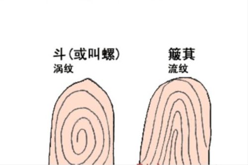 一斗穷 二斗富 康熙10个 簸箕 ,科学家发现斗与簸箕中的奥秘