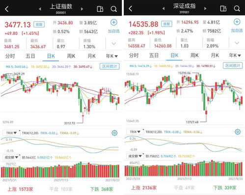 机构大量加仓能不能说明下一个交易日该股能涨？