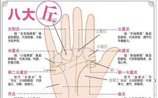 手掌上各个纹路究竟代表什么意思,你知道么 