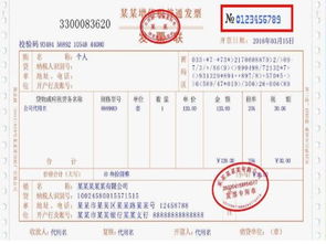 开17 的增值税发票加9个点是什么意思 