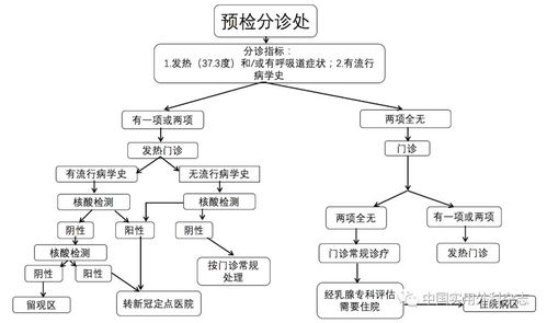 ftm手术流程图