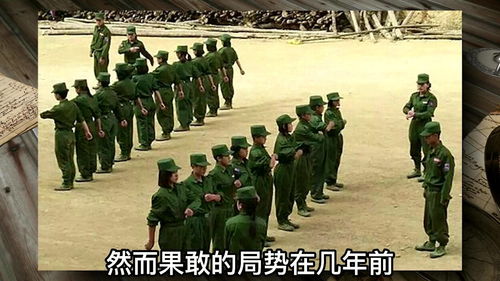 果敢战事爆发后, 果敢王 彭家声为何呼吁全球华人援助果敢 