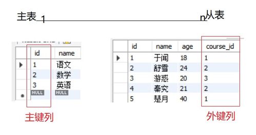 MySQL数据约束和表关系详解