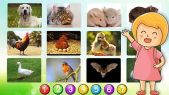 动物词汇在英语手游下载 动物词汇在英语安卓 ios版下载 3454手机游戏 